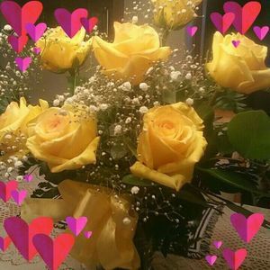 Meet your Posher, Cornelia